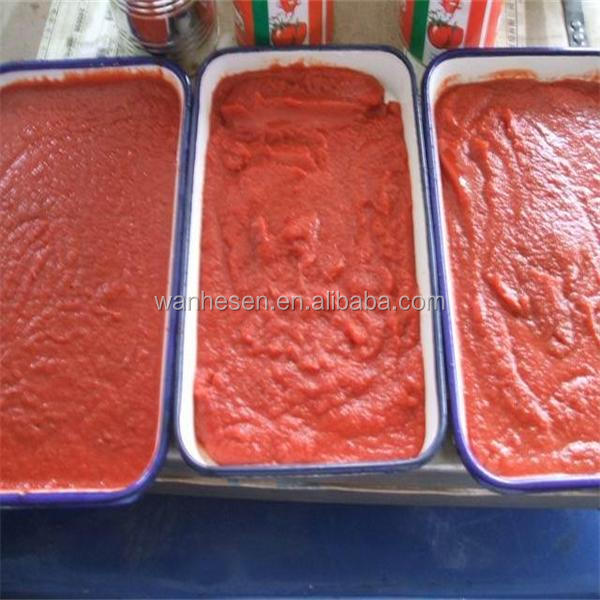 2013 newnst!! double concentrated tomato paste with brix 28-30%