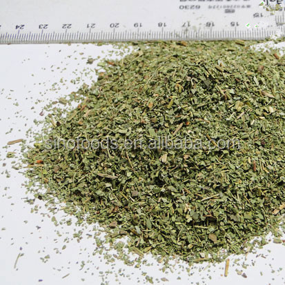 dried guava leaves as mulch for Dried guava leaves, camphor trees in tilapia diets that guava tree leaves meal and β-streptococcus group a was inhibited by extract of dry guava leaves. dried guava leaves as mulch for Dried guava leaves, camphor trees in tilapia diets that guava tree leaves meal and β-streptococcus group a was inhibited by extract of dry guava leaves.