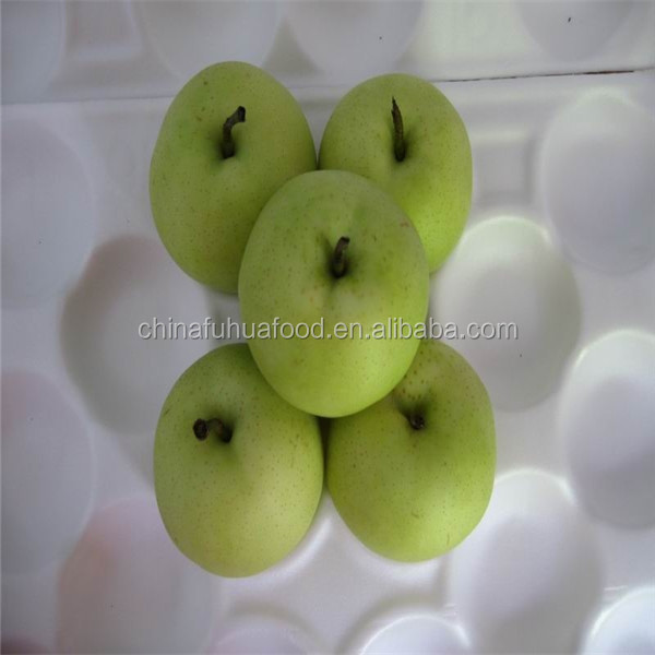 Fresh Shandong Pear 2014