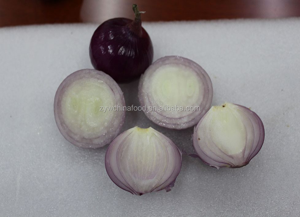 Fresh Onion Hot Sale Onion New Crop Onion Wholesale Onion Prices Onion High quality Onion Exporter