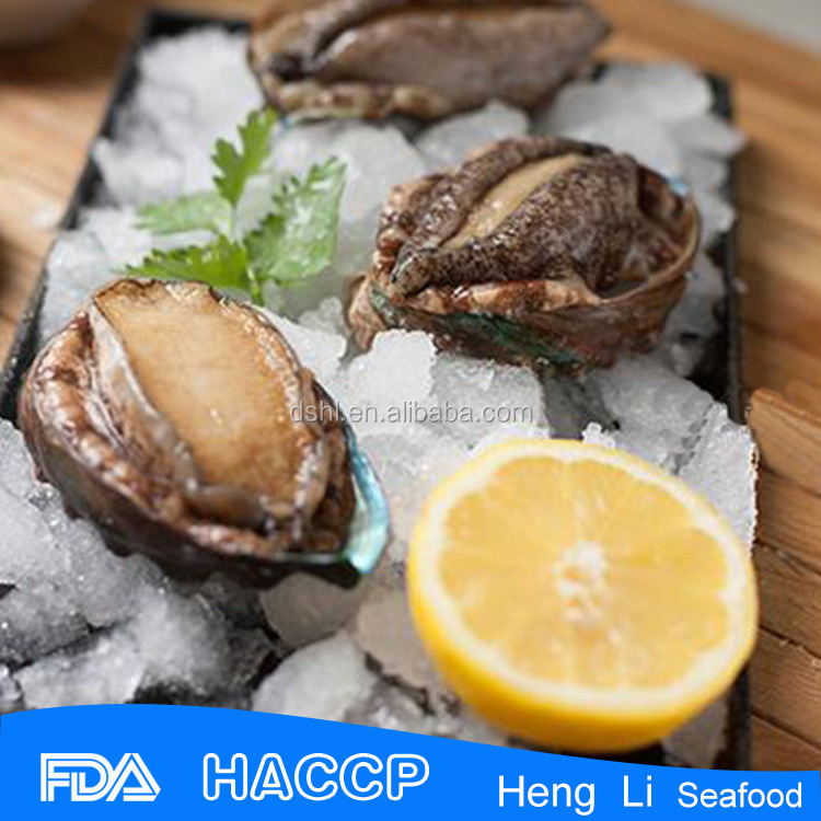 Hl009 Frozen Abalone Meat Wholesale Buy Abalone For Sale,Frozen