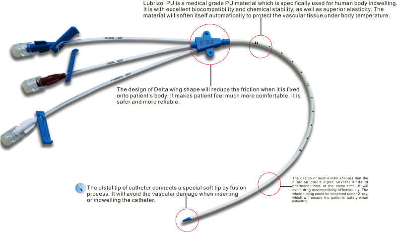 anatomy of a triple lumen catheter ports