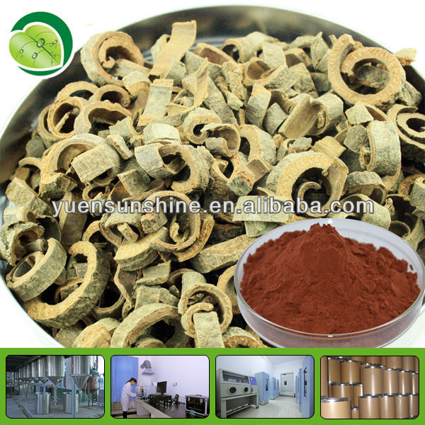 cinnamon polyphenol chinese herbal plant extract ceylon cinnamon powder