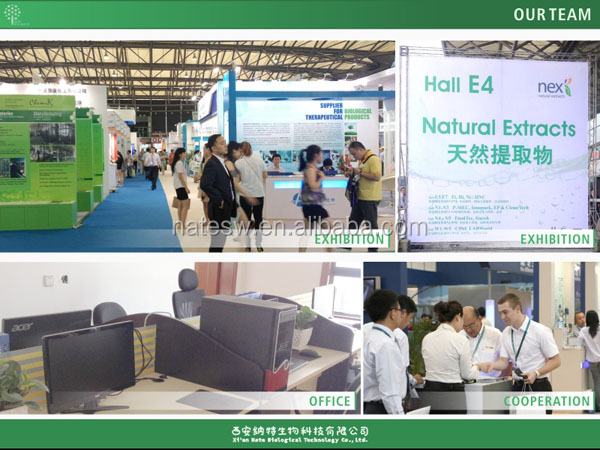 Natural Green Tea Extract Epigallocatechin Gallate EGCG 98% powder