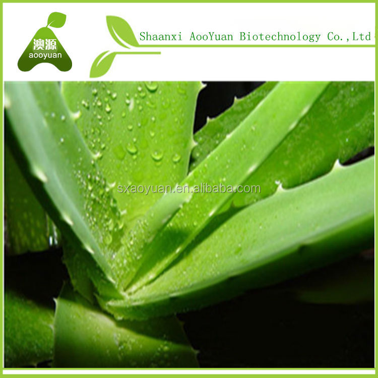 aloe vera essential oil/aloe vera oil