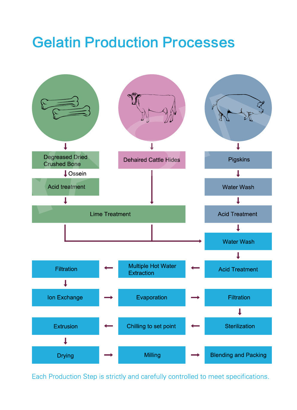 China Bulk Gelatin Powder Price,China YASIN GELATIN price supplier 21food