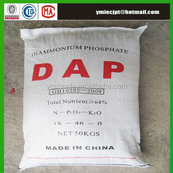 DAP-13.jpg