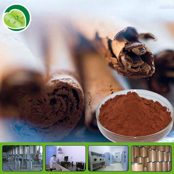 cinnamon polyphenol chinese herbal plant extract ceylon cinnamon powder