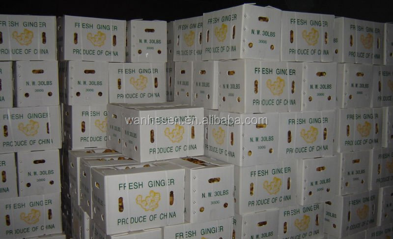 20kg Mesh Bag Package Air Dry Ginger