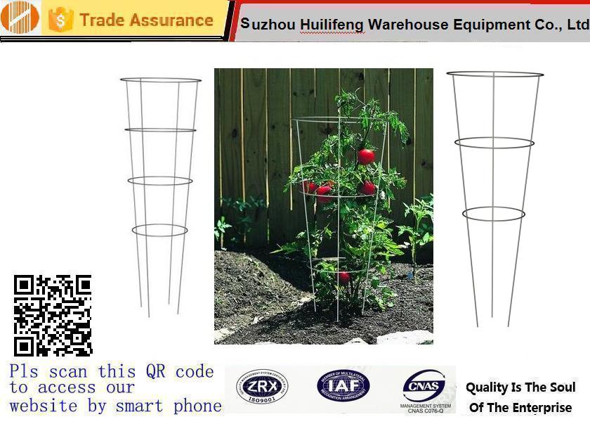 stake tomato keeps plant tree creeper vine pport cage