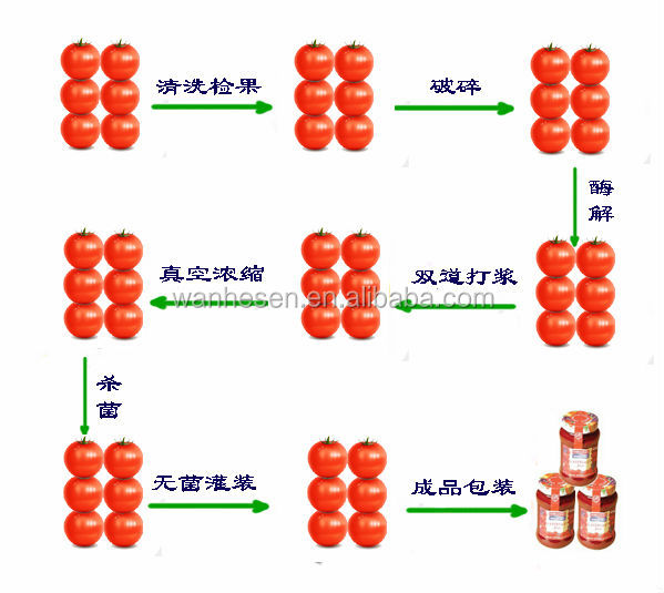 70G-4500G China Hot Sell Canned tomato paste,tomato sauce glass bottle