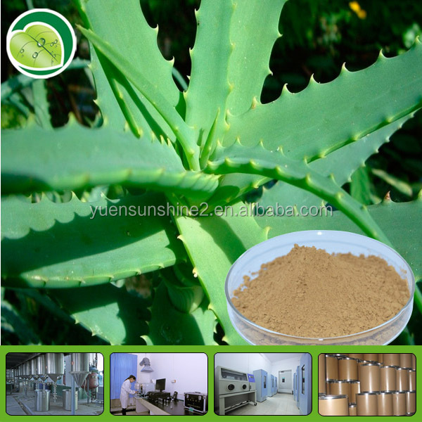 low price and high quality 100% natural plant extract aloe vera extract powder