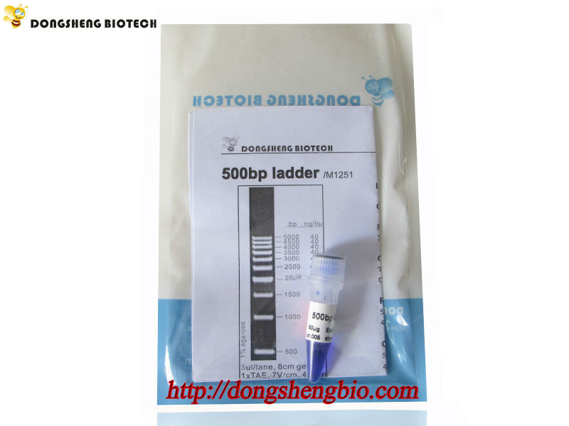 M1251 500bp ladder