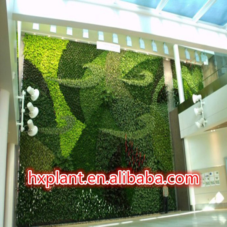 中国2014年高いシミュレーション植物屋外の壁の装飾壁壁人工植物問屋・仕入れ・卸・卸売り