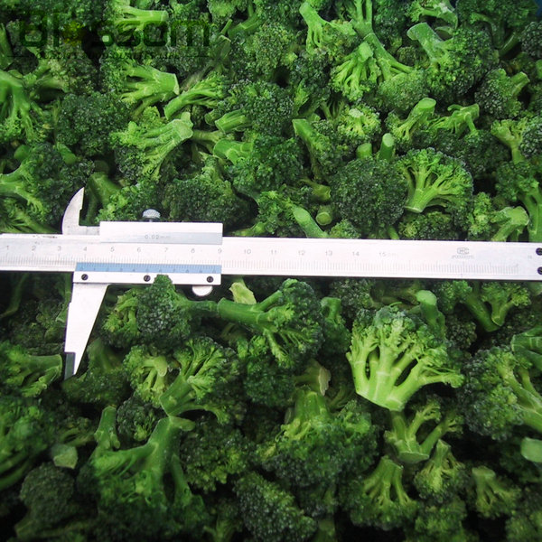 bulk iqf frozen broccoli frozen vegetables green cauliflower