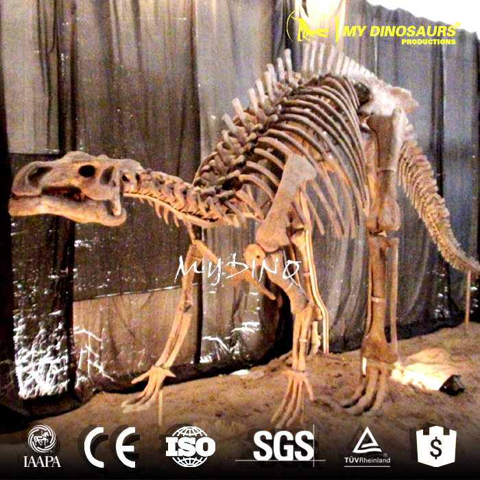 Iguanodon skeleton1.jpg