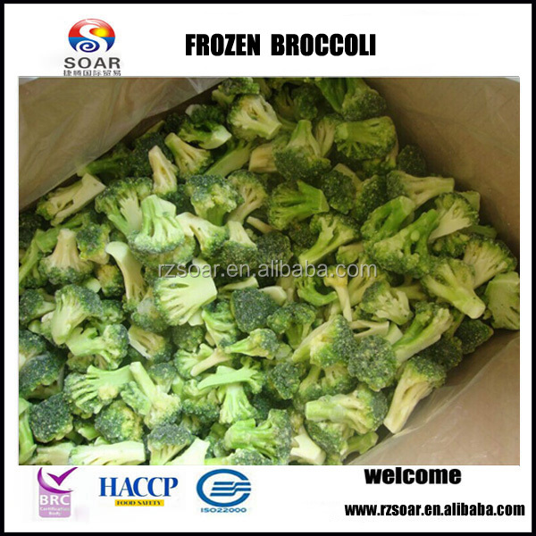 bulk frozen broccoli, frozen cauliflower,China rzsoar frozen broccoli