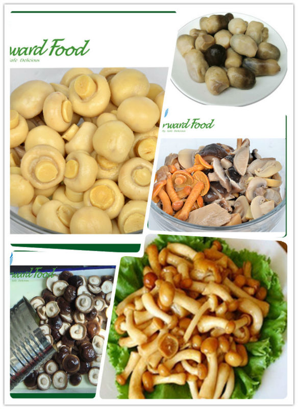720ml marinated nameko mushroom in brine