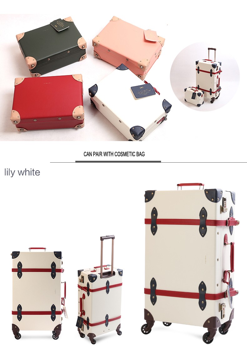 Vintage luggage suitcase.jpg