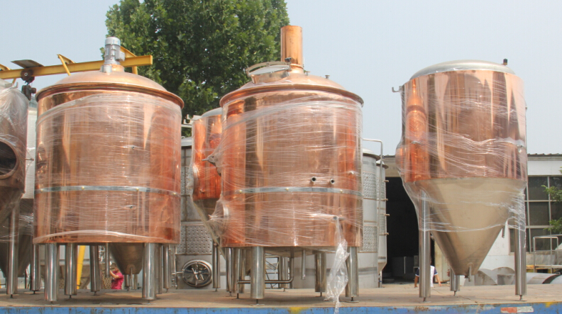 200L Fermentation Tanks for beer manufacturing