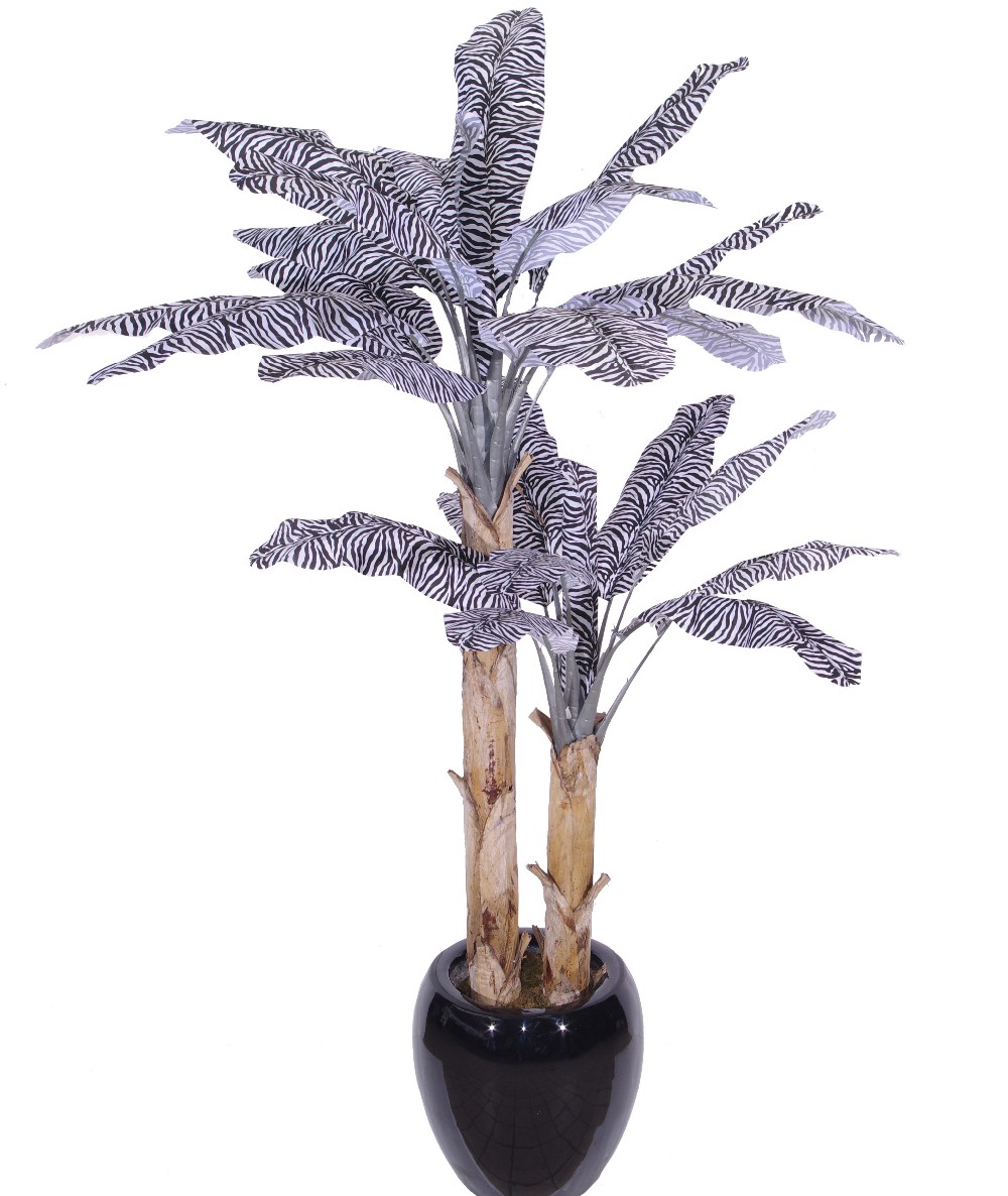 HX0103918.jpg