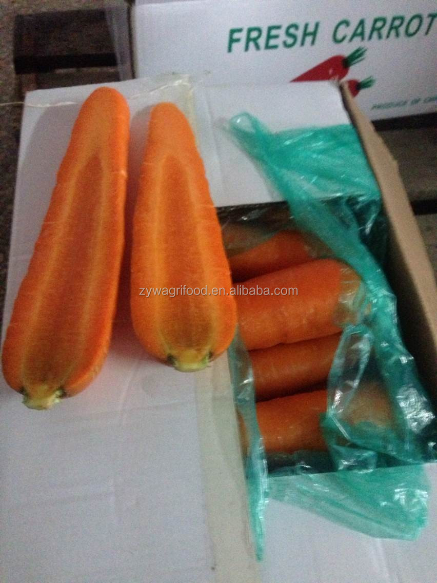 2014 bulk fresh vegetable carrot