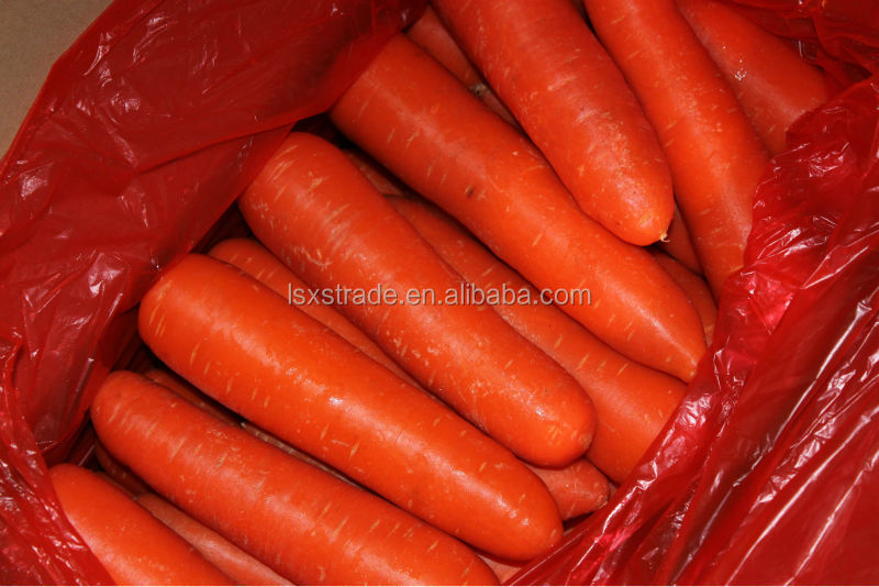 2014 new crop carrot from China (H)