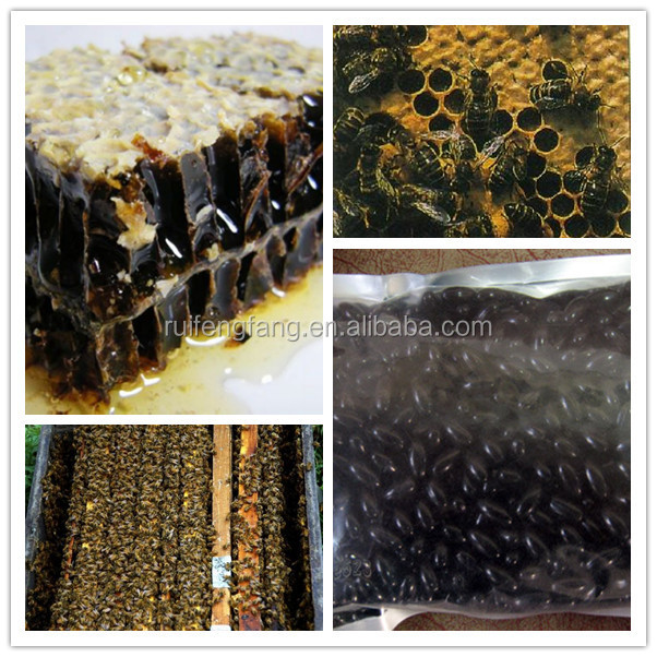 propolis apis flora