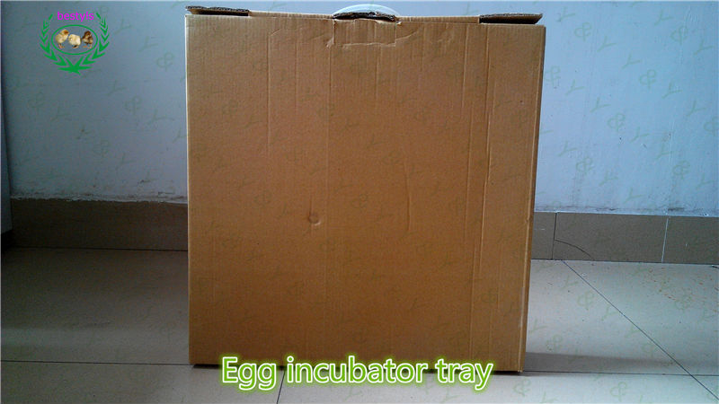  Egg Incubator For Sale - Buy Egg Tray,Used Chicken Egg Incubator For
