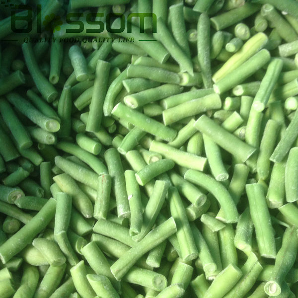 China top quality frozen green bean new crop names all fruit vegetables