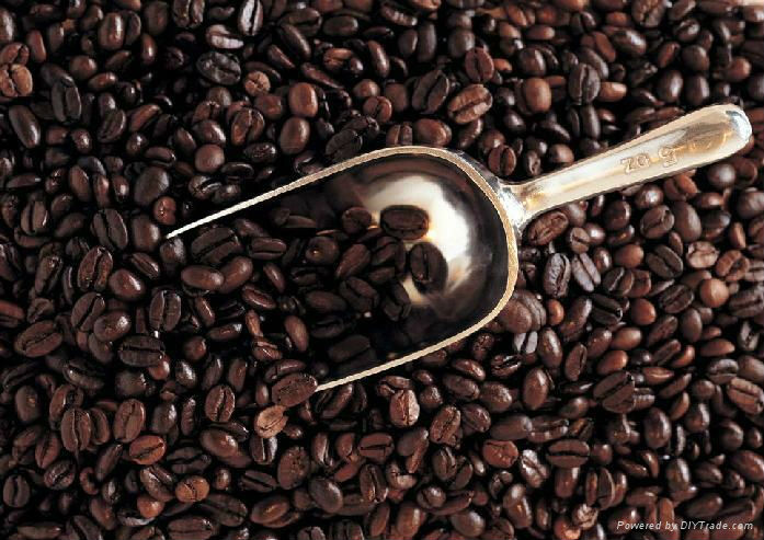 Cocoa extract theobromine