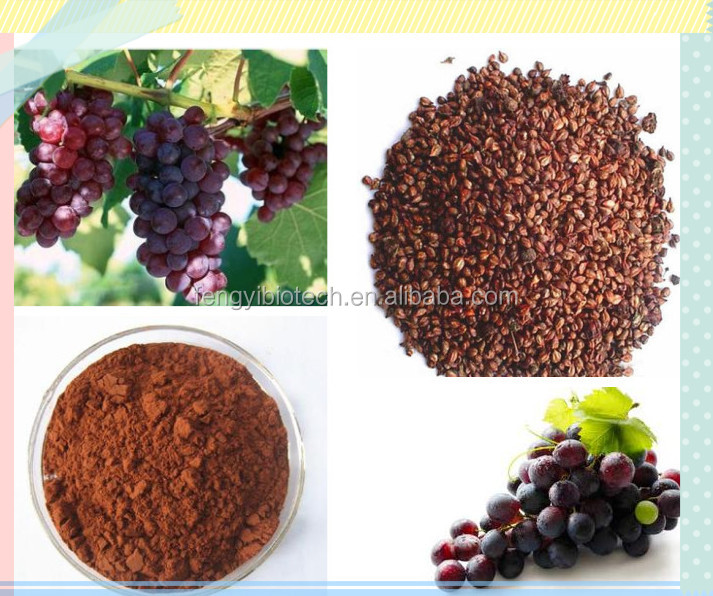 Grape Seed Extract-OPC95%