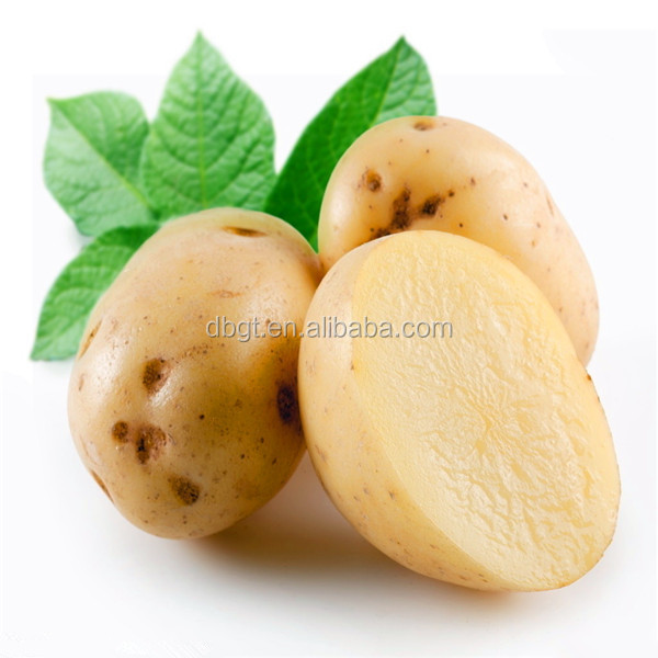 fresh potato price per ton/fresh potato price/cheap potato,China DBGT