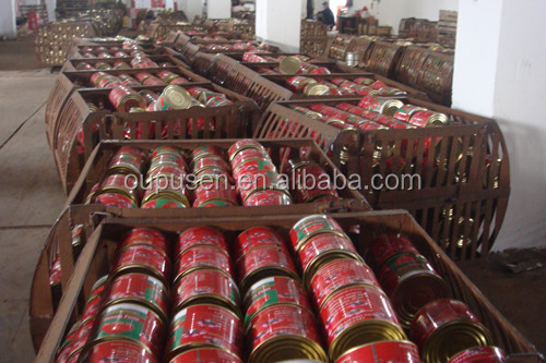 Tomato Ketchup Tomato Paste