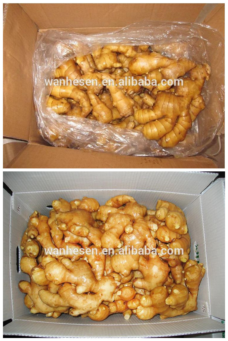 2014 new crop pure dried ginger hot sale