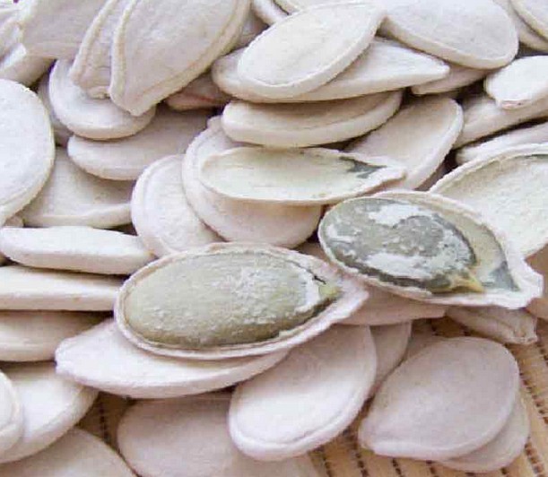 nutritious roasted and salted pumpkin seeds
