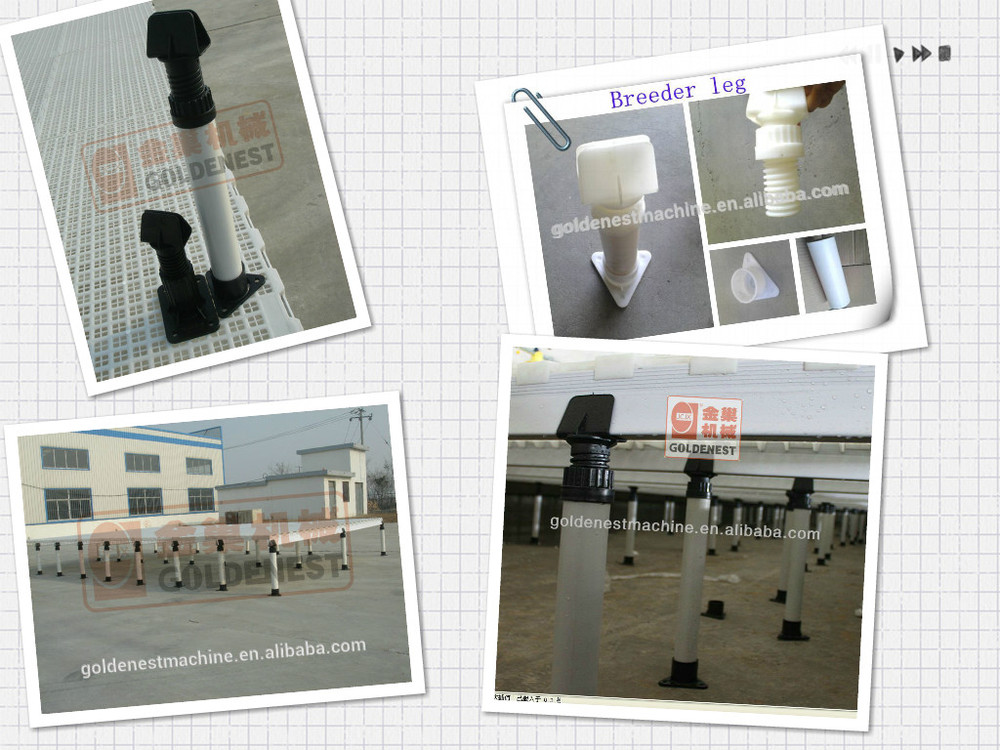 ^Plastic slat poultry chicken plastic floor/flooring for farming equipment