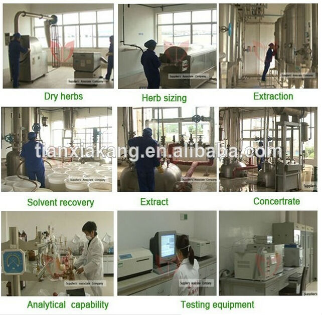High Quality cocoa extract powder cacao theobromine/extract cacao theobromine