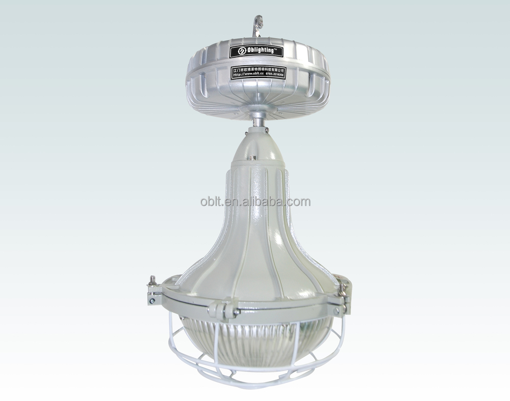 40w 80w induction lvd lamp explosion proof light energy saving