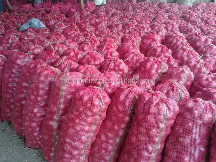 Fresh Red Onion Chinese Onion