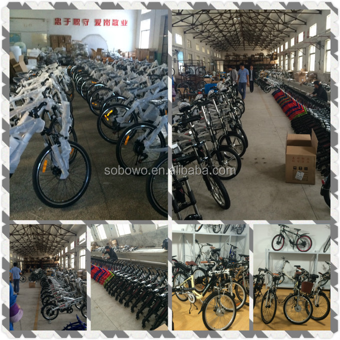 e bicycle