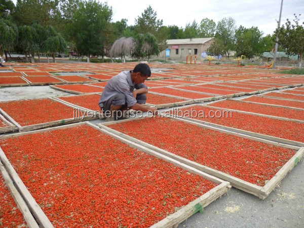 2014 KOSHER/HACCP/NOP/IMO/HALAL certified goji berry
