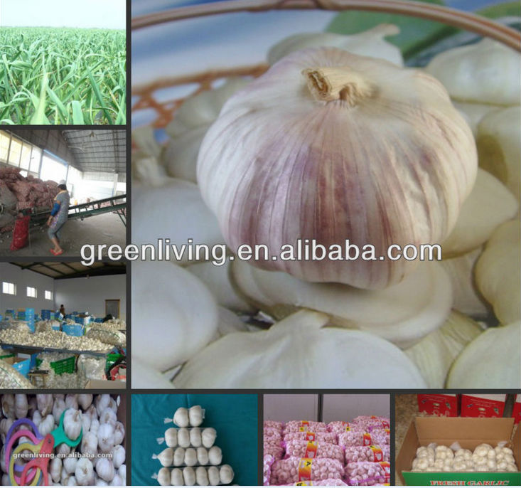 2014 Fresh Vegetables And Fruits