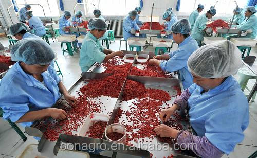 100% NingXia Goji Berry