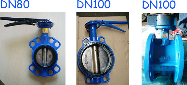 butterfly valve 1.jpg
