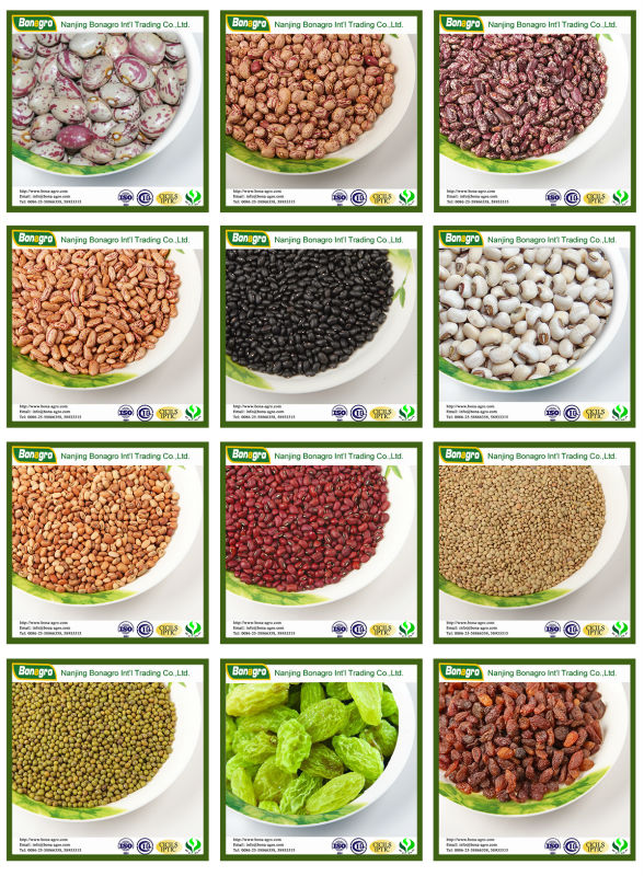 2014 crop tops lentil/lentil bean China supplier