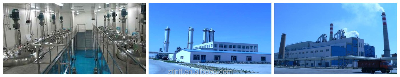High Purity Food Additive Polydextrose -China Supplier