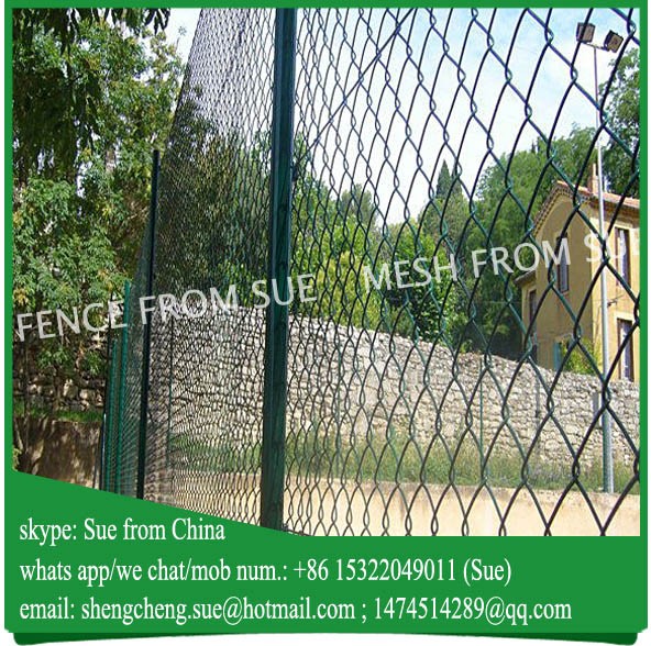 Africa Galvanized PVC Coated Woven Mesh Chain Link Fence with Free