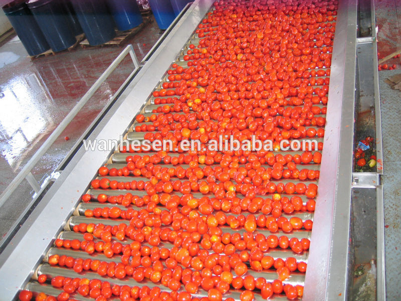 36-38%tomato paste/tomato paste brands