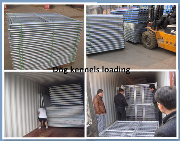 Dog kennels loading.jpg